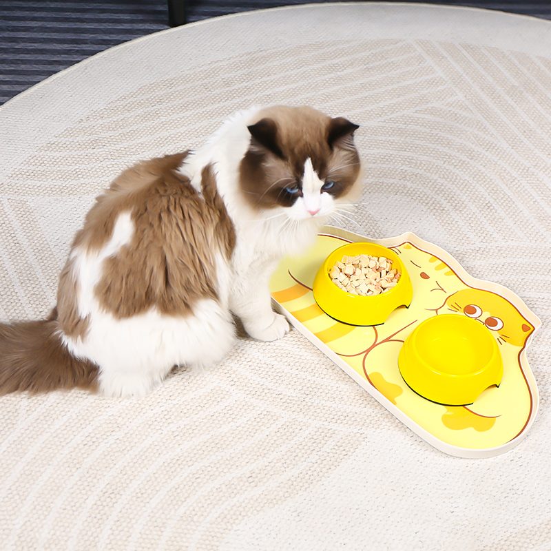 Double Cat Plate - Extra-wide twin dish plate for two-cat households