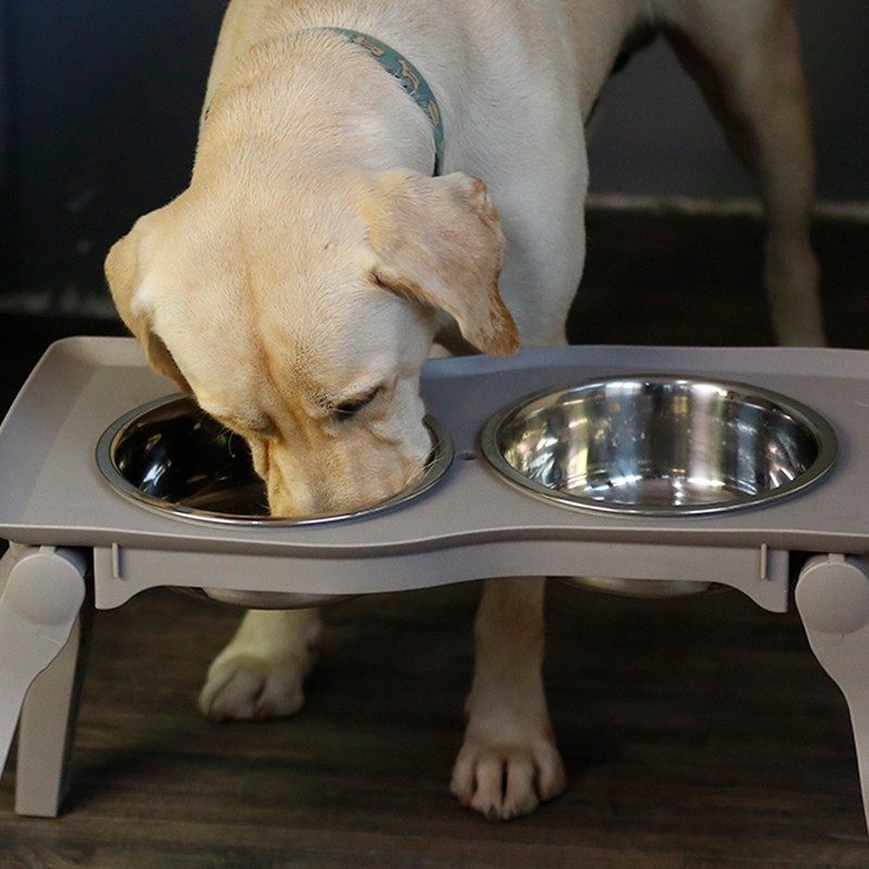 Folding Table Double Bowl - Portable folding table with twin bowls for outings