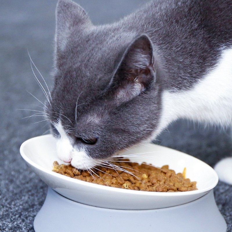 Moonlight Cat Saucer Set - Shallow saucer and bowl set designed for cats