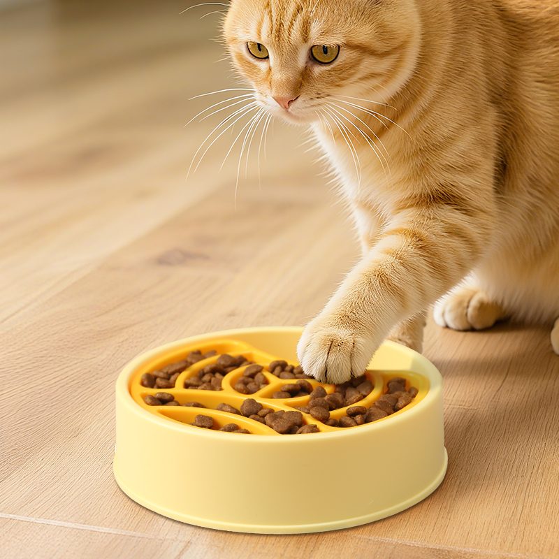 Rotating Slow Feeder Bowl - Spin-and-eat puzzle bowl that slows down fast eaters