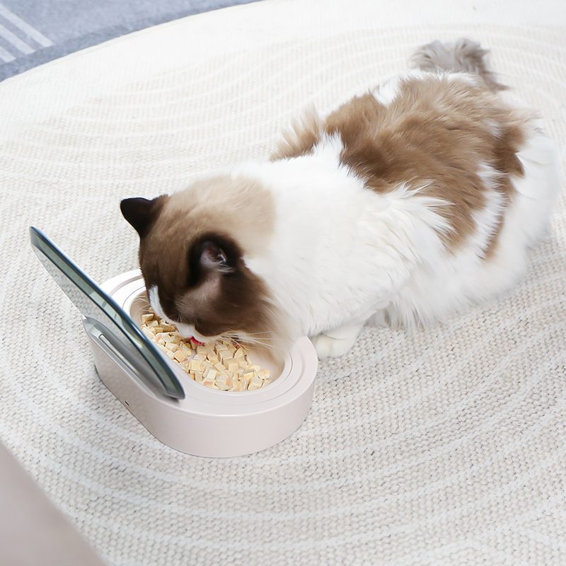 Smart Flip-Top Bowl - Sensor-activated lid keeps food fresh and paws out