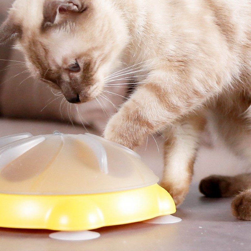 Spinning Dig Plate Toy - Spin-and-dig plate that taps into natural foraging
